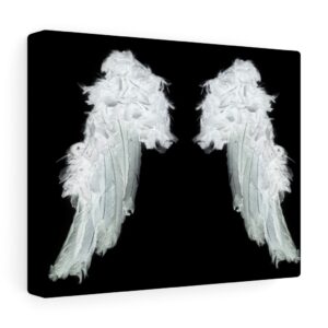 Angel Wings with Black Background Canvas Gallery Wraps