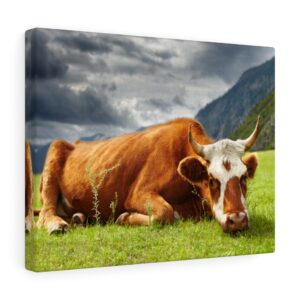 Cow Canvas Farmhouse Decor Canvas Gallery Wraps