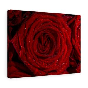 Red Roses – Canvas Gallery Wraps