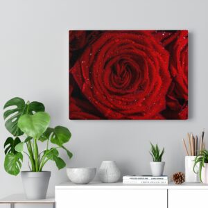 Red Roses – Canvas Gallery Wraps