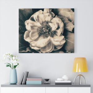 Sepia Flower Canvas Gallery Wraps