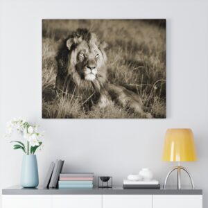 Lion Sepia Wall Art Canvas Gallery Wraps