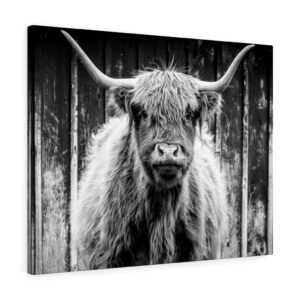 Black and White Highland Cow Sepia Farmland Scotland Male Cow Canvas Gallery Wraps