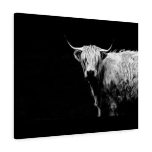 Black and White Male Cow Highland Farmhouse Canvas Gallery Wraps