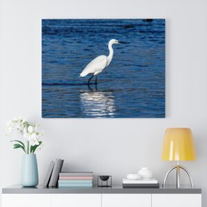 Crane Canvas Gallery Wraps