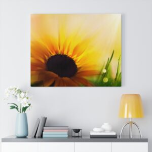 Sunflower Canvas Gallery Wraps