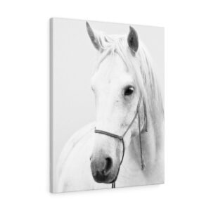 White Horse Canvas Gallery Wraps