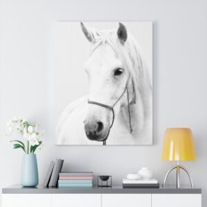 White Horse Canvas Gallery Wraps