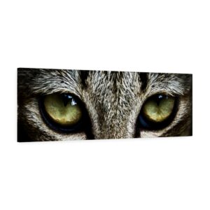 Cat Eyes Canvas Gallery Wraps