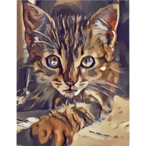 Cat Duvet Cover – Feline – Kitten – Comforter – Cat Bedding – Cat Bedroom – Microfiber Duvet Cover